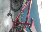 Bicycle for sale