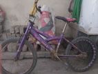 Bicycle For Sale