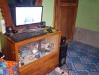 Desktop Computer for Sale