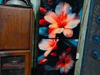 Refrigerator for sell