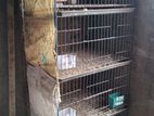 Khacha for sell