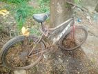 Bicycle for sell