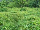 Land for sell