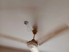 Fan for sell