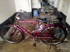 Bicycle for sell