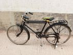 Bicycle for sell