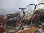 Prince Bicycle for sale