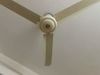 celling Fan For Sell.