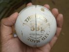 Kookaburra TURF International Leather Ball