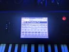 Korg M50 (Fresh Condition)