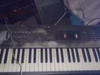 korg N364 Keybord