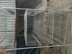 কোয়েল পাখি খাঁচা