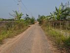 ''L'' BLOCK 3 KATHA SOUTH FACING PLOT SALE