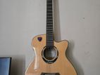 L2-720a Guitar