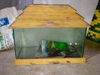 Aquarium For Sell