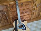 Labu Guiter
