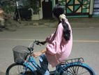 Ladies bicycle