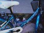 Ladies Cycle As Like New
