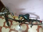 Ladies Cycle