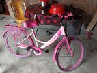 Lady Bicycle