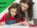 LADY TUTOR_FOR_PRE-SCHOOL,KG,NURSERY,PLAY_NOTUN BAZAR