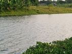 Lake Facing 3 Katha North at Sector-20