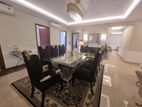 Lake view : with Luxury Furniture Flat For Rent in Gulshan 2