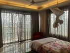 Lakeside new Furnished flat for rent in Gulshan