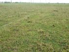 Land For Sale 4 Katha P Ext-