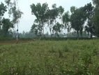 Land For Sale At Syedpur Badarganj