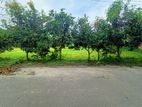 Land For Sale!