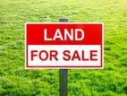 Land For Sale