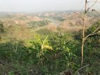 Land for sale in Bandarban (suitable resort)