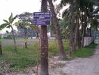 Land For Sale (jica Araihazar Project Attached).