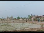 land for sell Bhulta Gawsia Market.Back Side Anupam Hosiery, Rupganj