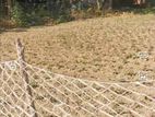 Land for sell