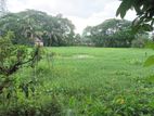 Land for sell in Begumganj, Noakhali