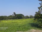Land Near Kaptai Industrial Area