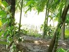 Land Sale