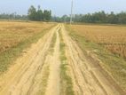 Land Sale in Sreemangal