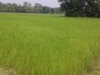 Land Sale