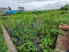 Land Sell at Zirabo, Savar