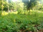 land for sell