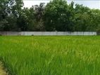 Land sell জমি বিক্রয়