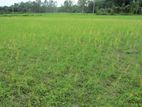 Land sell/নিষ্কন্টক জমি(Business,commercial land/যেকোনো ব্যবসা উপযোগি)