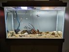 Large Aquarium and Stand - Total Set