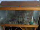 Large Aquarium Set