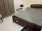 Large Size Premium Luxury Fully Furnished Service Apt