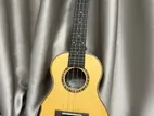 Larry’s Ukulele (las-35)