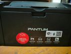 laser printer ( Pantum p2500w series model)